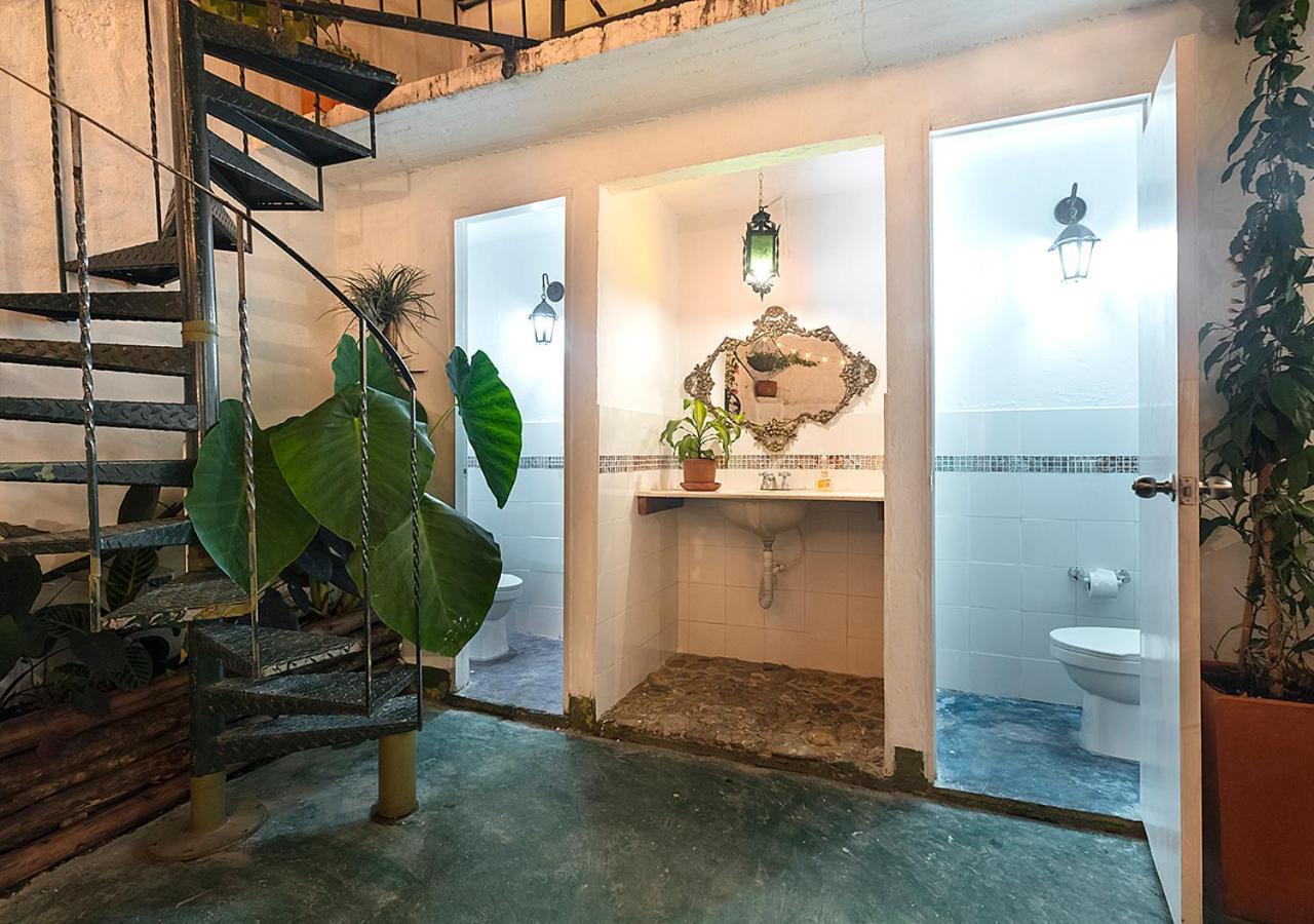 Florentina Symbiosis Medellin Luaran gambar